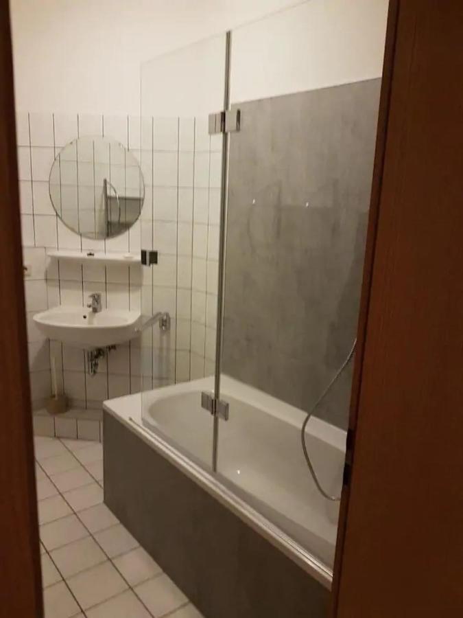 Große Ferienwohnung In Dresden-löbtau Apartment *